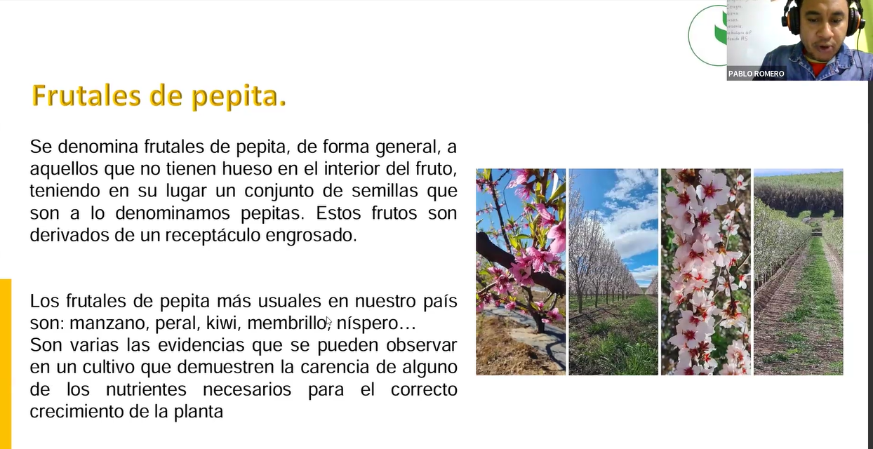 FRUTALES AGRIOS Y DE PEPITA
